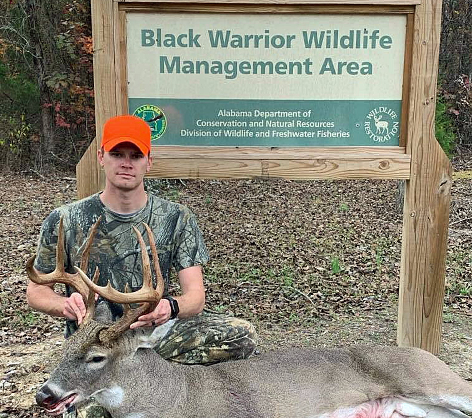 Public Land Provides Opportunities to Hunt Rut All Season Outdoor Alabama